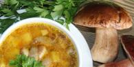 Суп из свежих шампиньонов - лучшие рецепты
